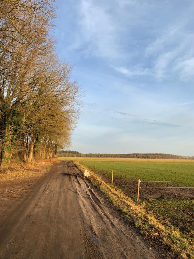 'T Holten Huus - Puur Genieten In Het Bos. Norg Eksteriør billede