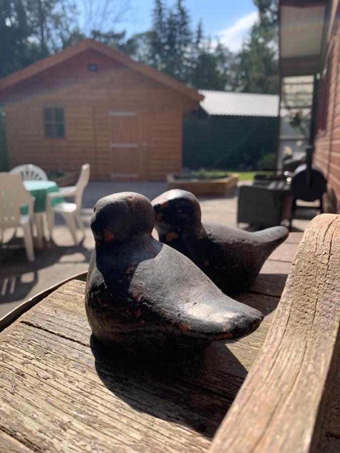 'T Holten Huus - Puur Genieten In Het Bos. Norg Eksteriør billede