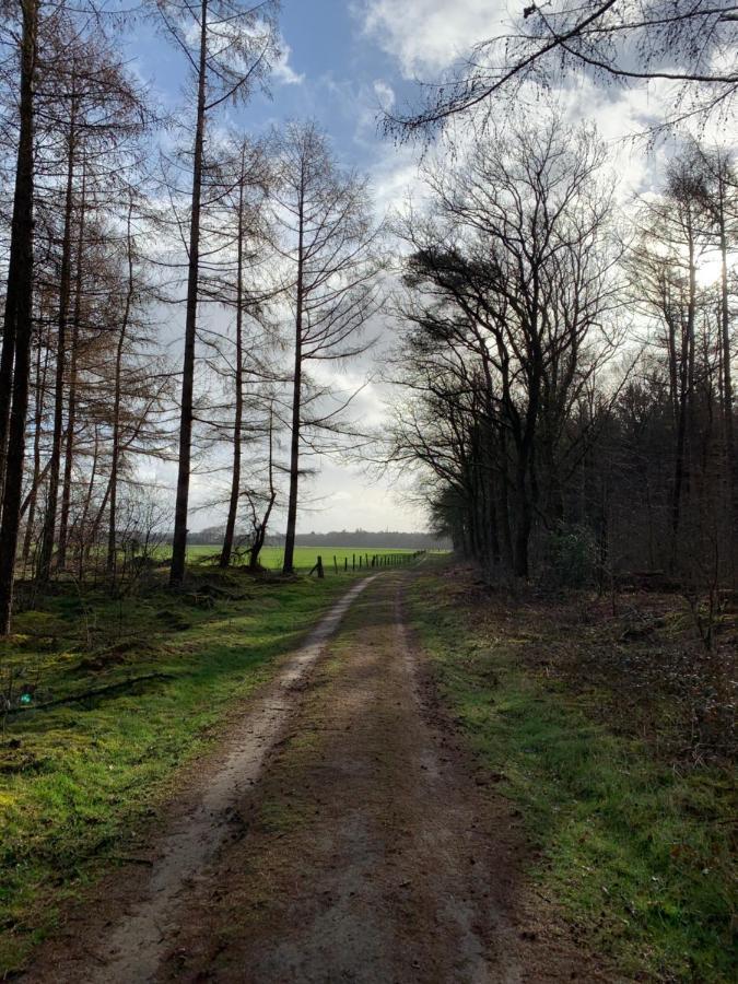 'T Holten Huus - Puur Genieten In Het Bos. Norg Eksteriør billede